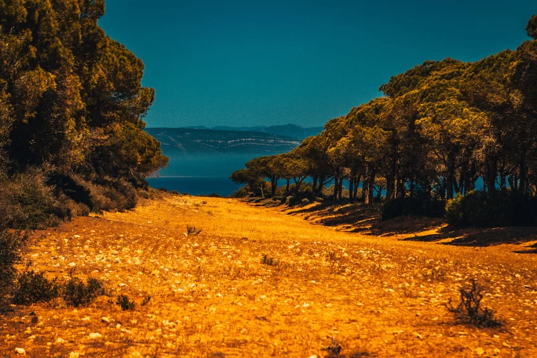 Mediterranean coast for planning Cunard Summer 2026 cruises