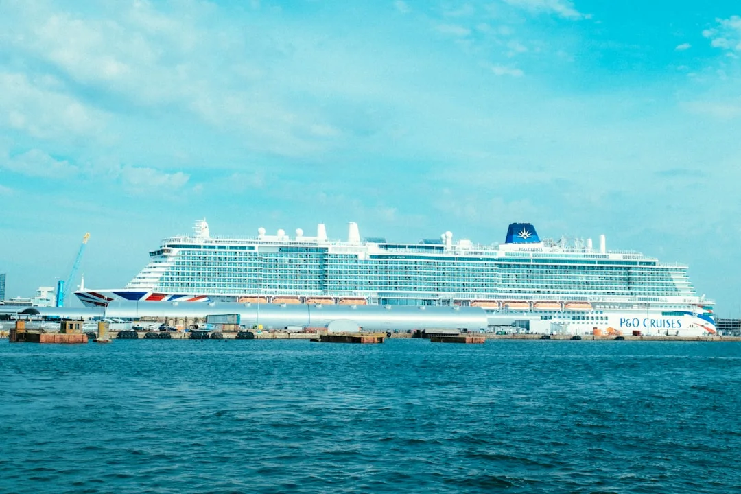 a cruise ship is docked at a tropical beach