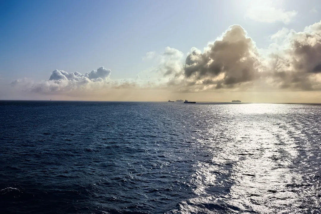 white cruise ship on sea during daytime