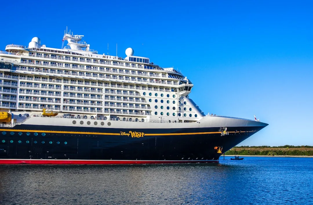 white and black cruise ship on water under the blue sky during daytime