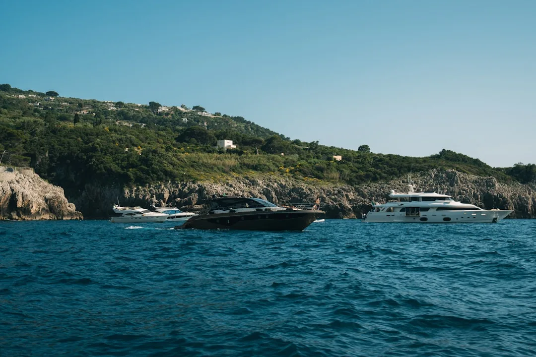 Yachts anchored near a green, rocky island in blue water.
